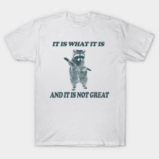 It Is What It Is And It Is Not Great - Vintage Drawing T Shirt, Raccoon Meme T Shirt, Funny Y2K Tee Shirt, Unisex Tee T-Shirt